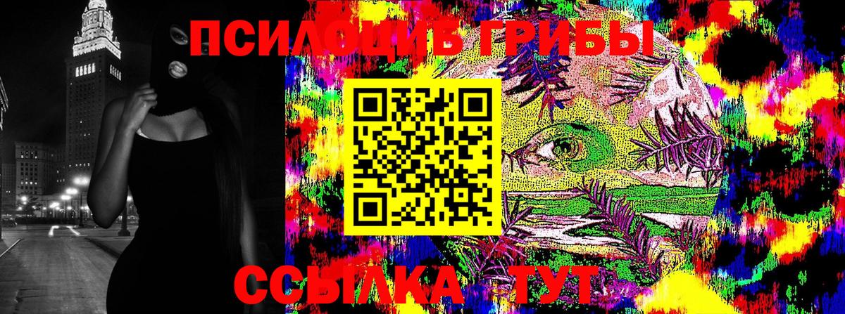 Галлюциногенные грибы прущие грибы Кудымкар